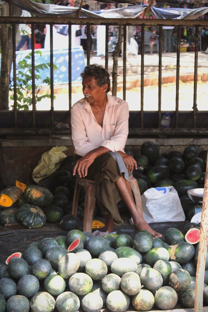 Фотография автора Niruthigan Uthayakumar