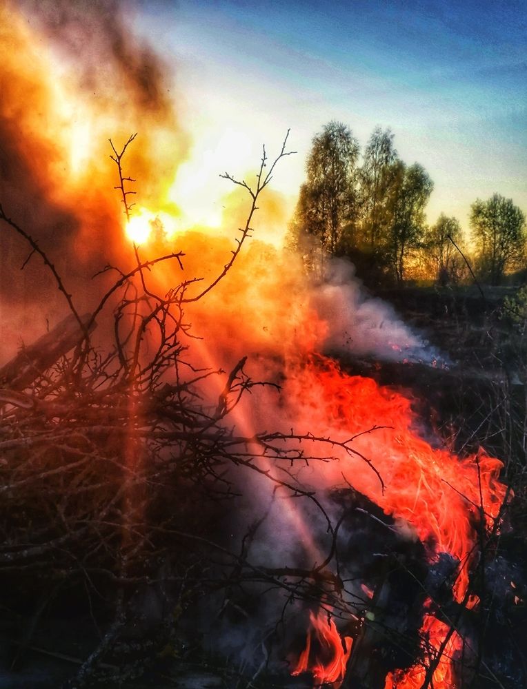 Photograph by Татьяна Александровна Терехова