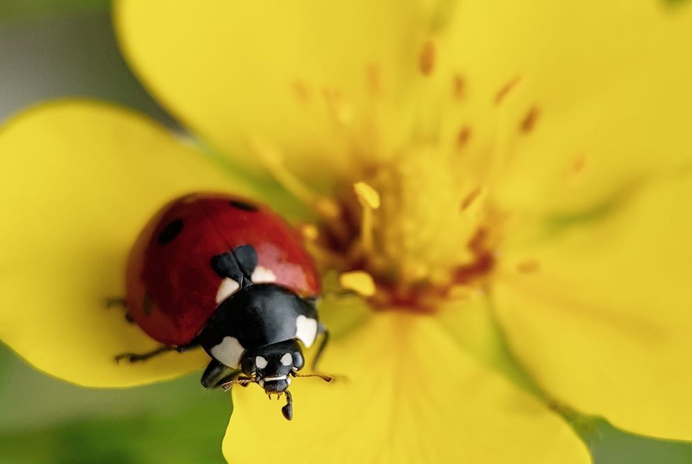 Photograph by Анна Чичилова