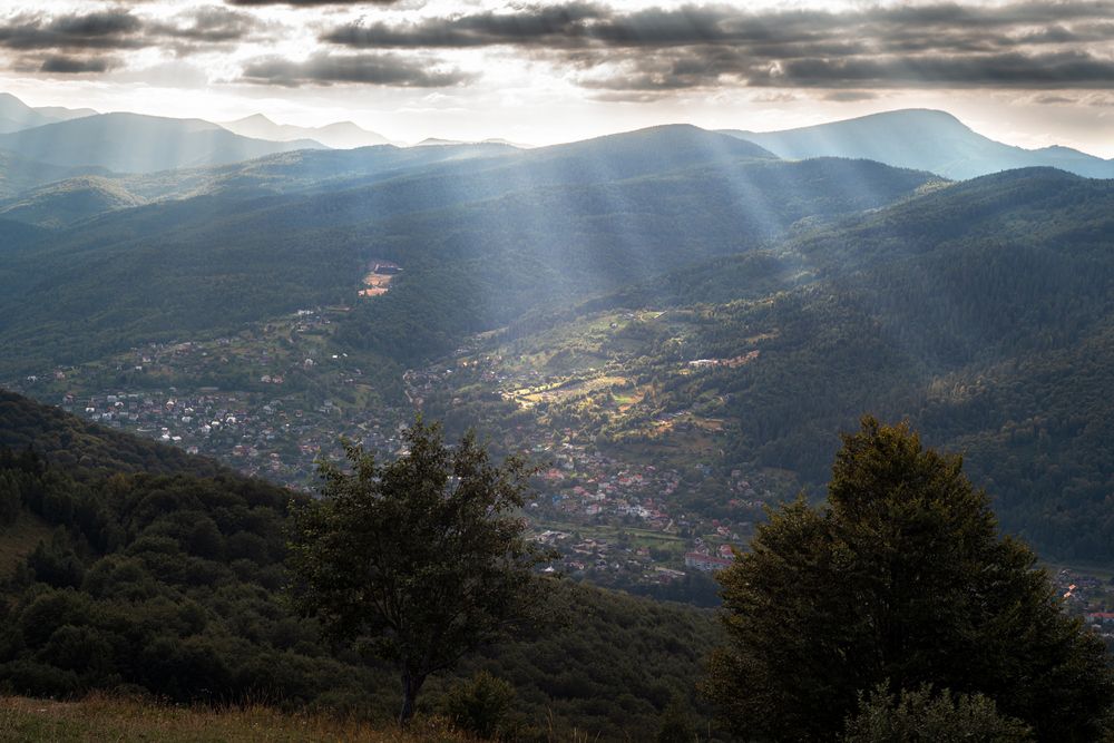 Фотография автора Дима Шарапов
