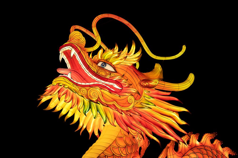 Photograph by Елизавета Венкова