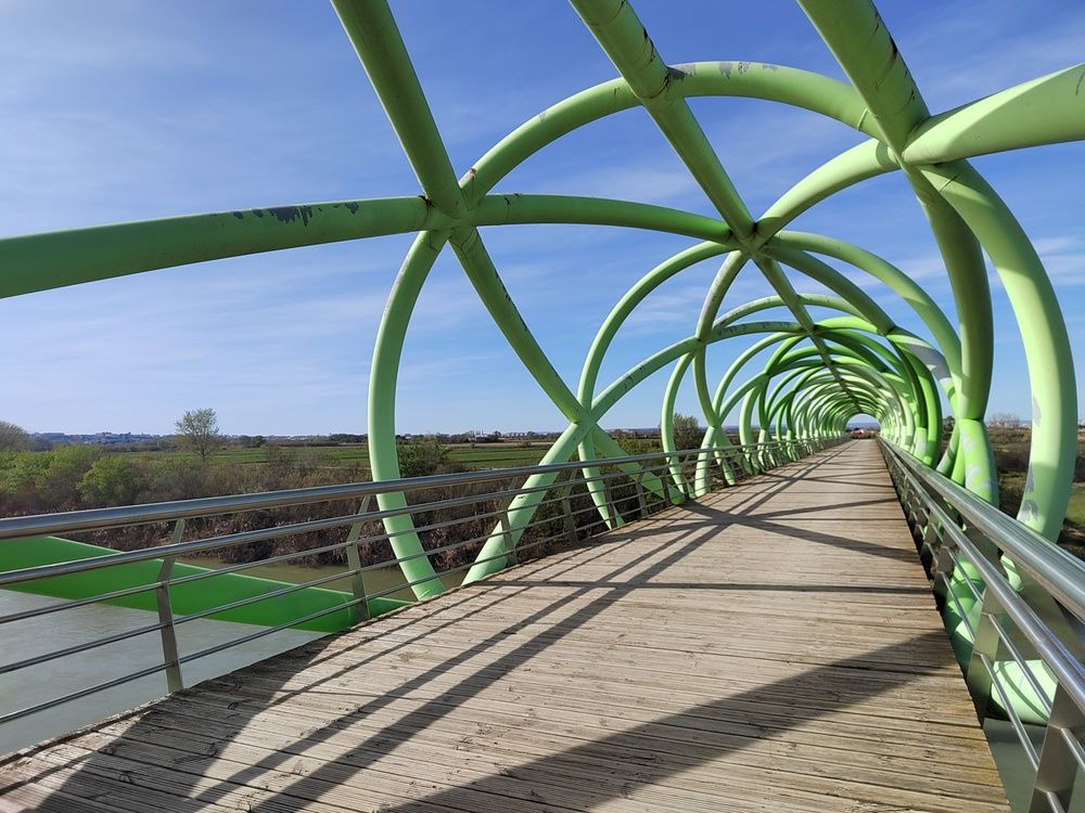 Photograph by Alex Kramer