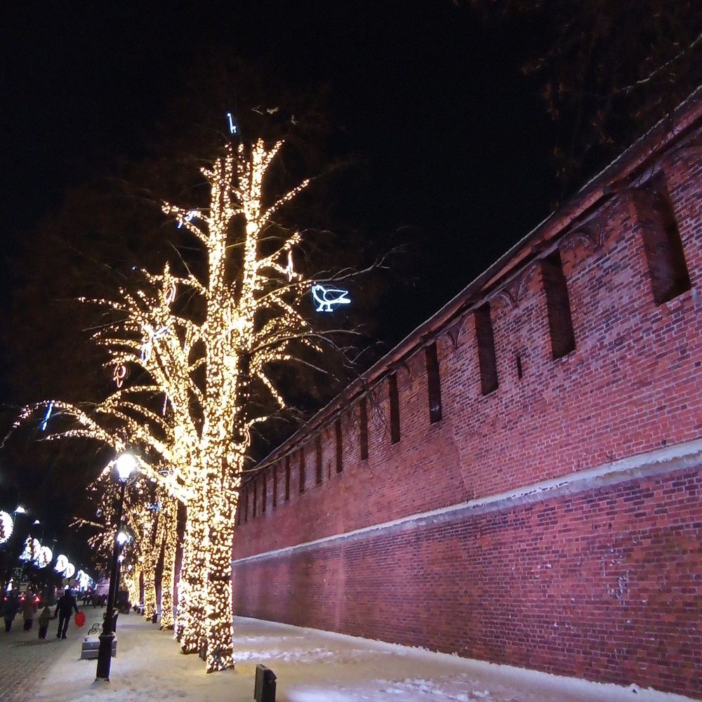 Photo #13417512