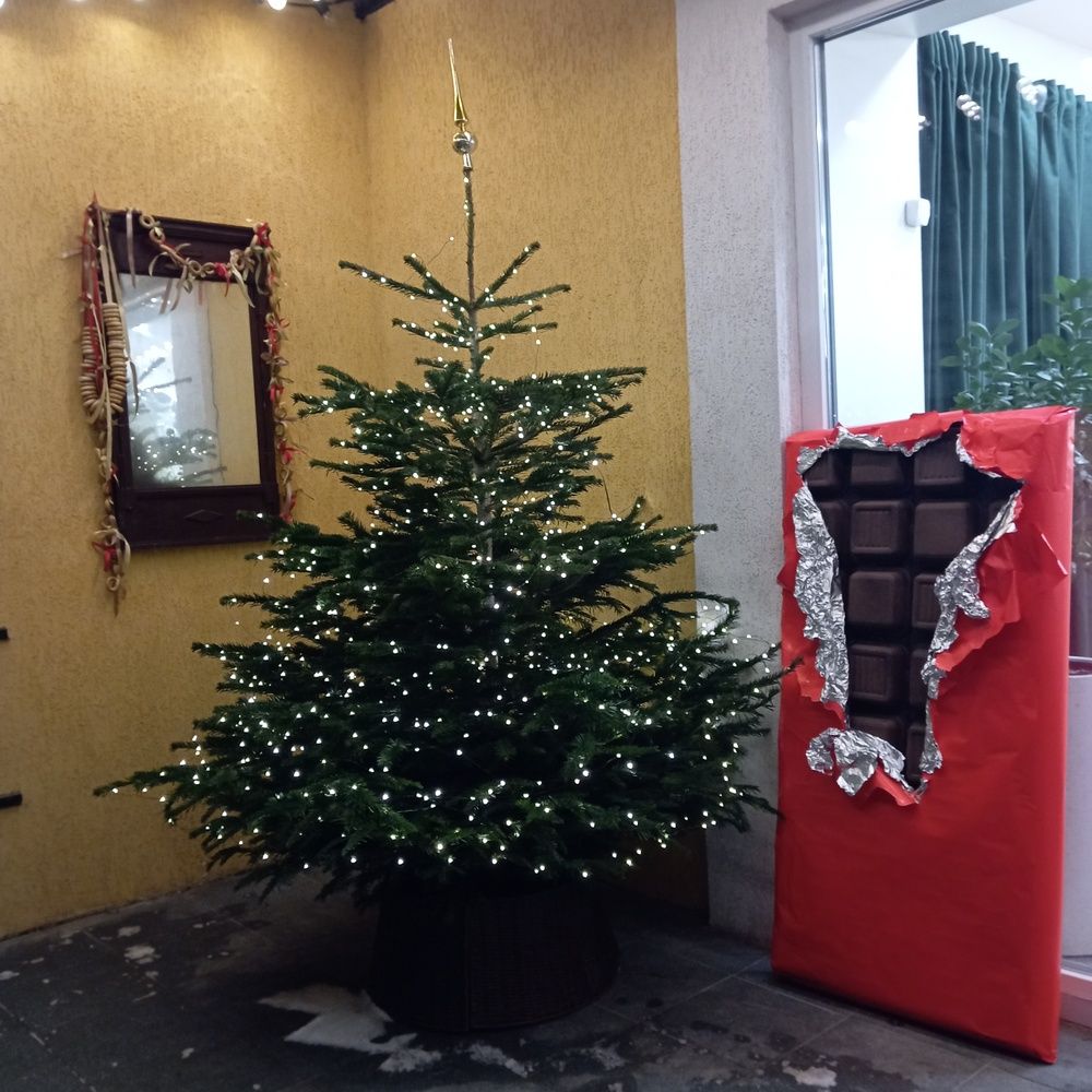 Photo #13417514