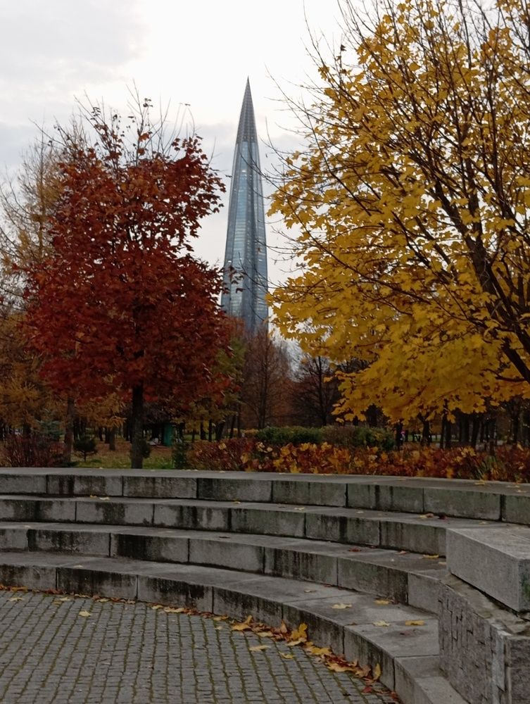 Photo #13417515