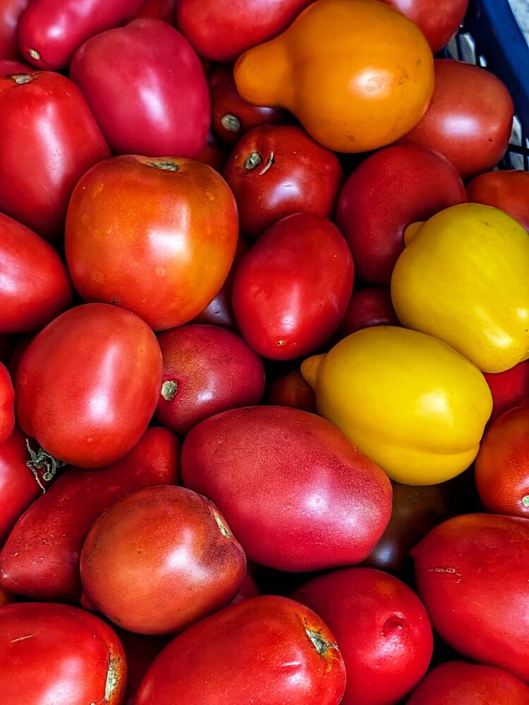 Photograph by Любовь Колмакова