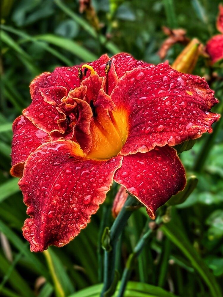 Photograph by Любовь Колмакова