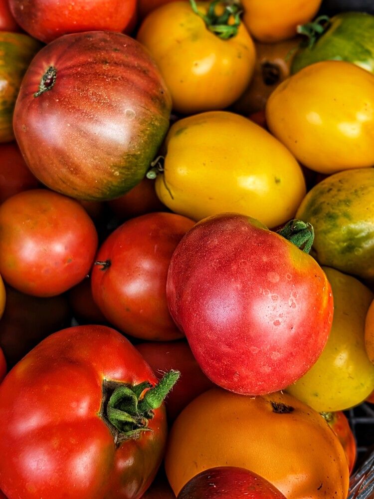 Photograph by Любовь Колмакова