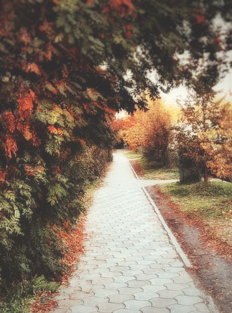 Photograph by Юлия Чернышёва