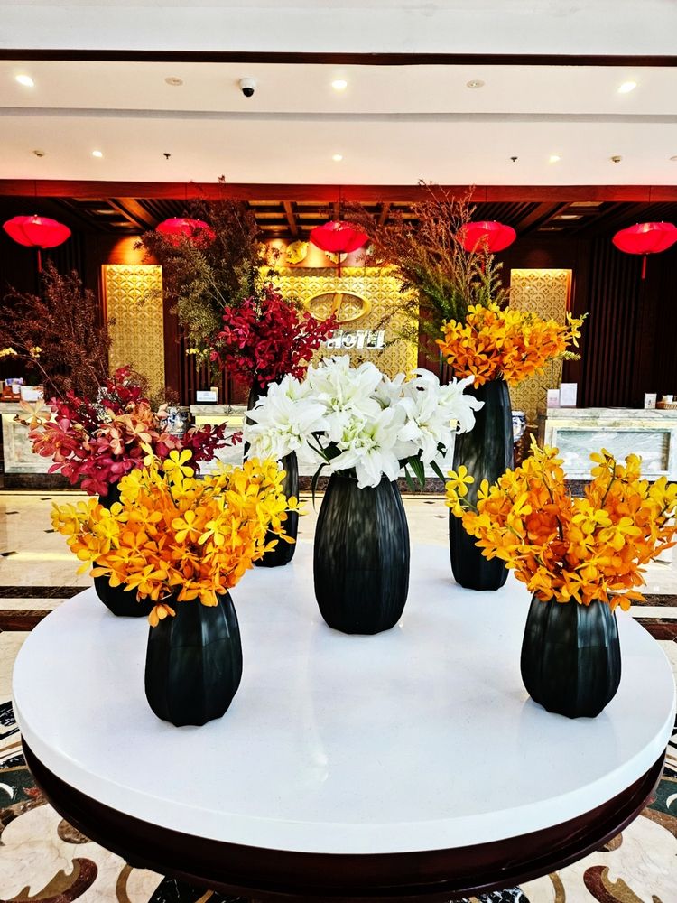 Фотография автора Tatiana Shirenko