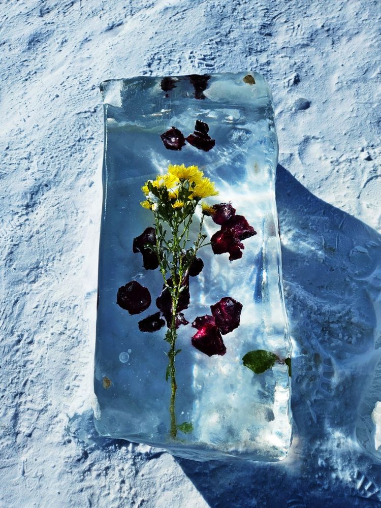 Фотография автора Tatiana Shirenko