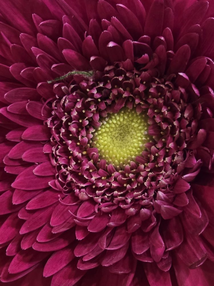 Photograph by Ekaterina Kazarez