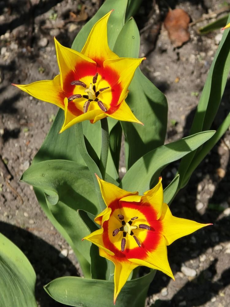 Photograph by Ekaterina Kazarez