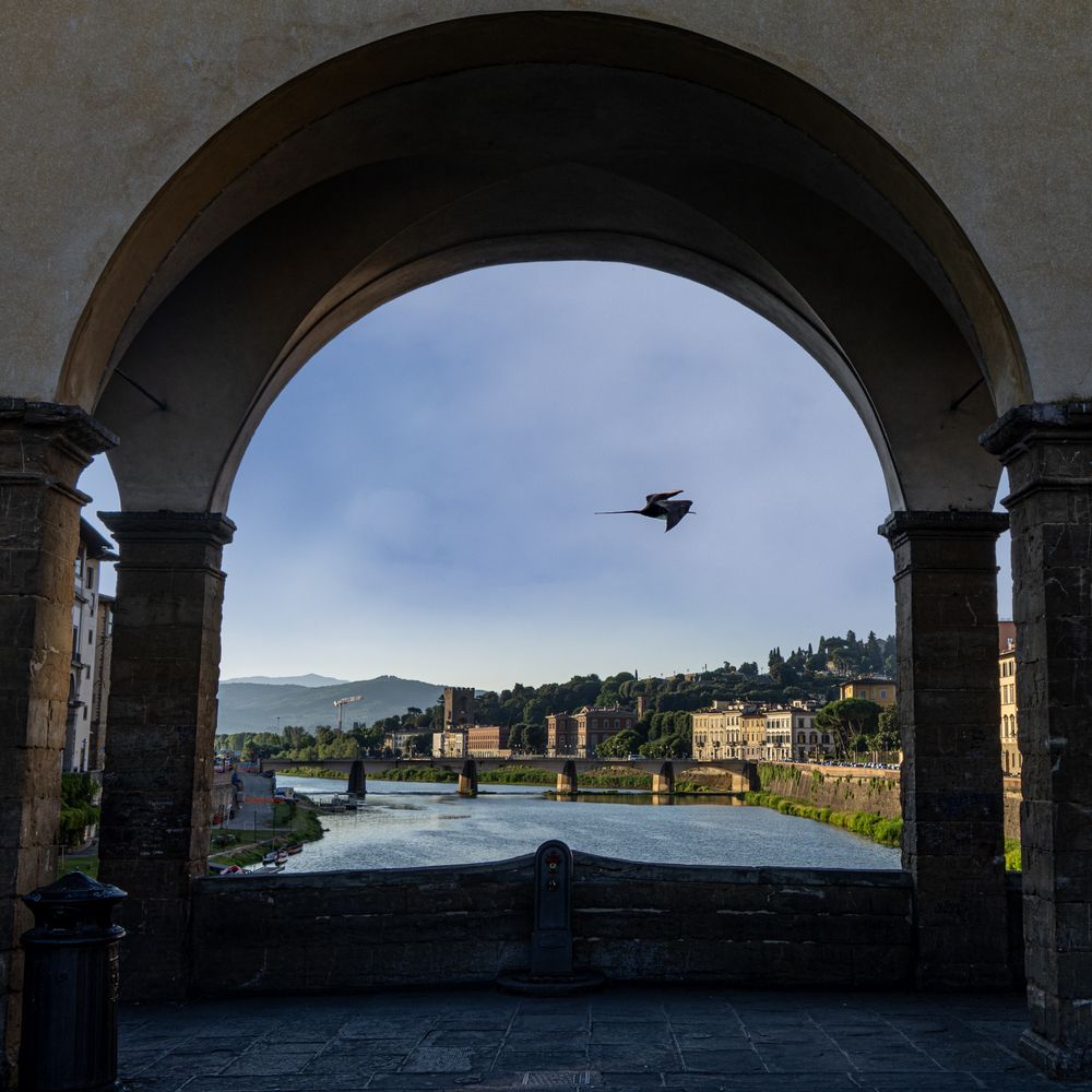 Photograph by Julia A Caesar