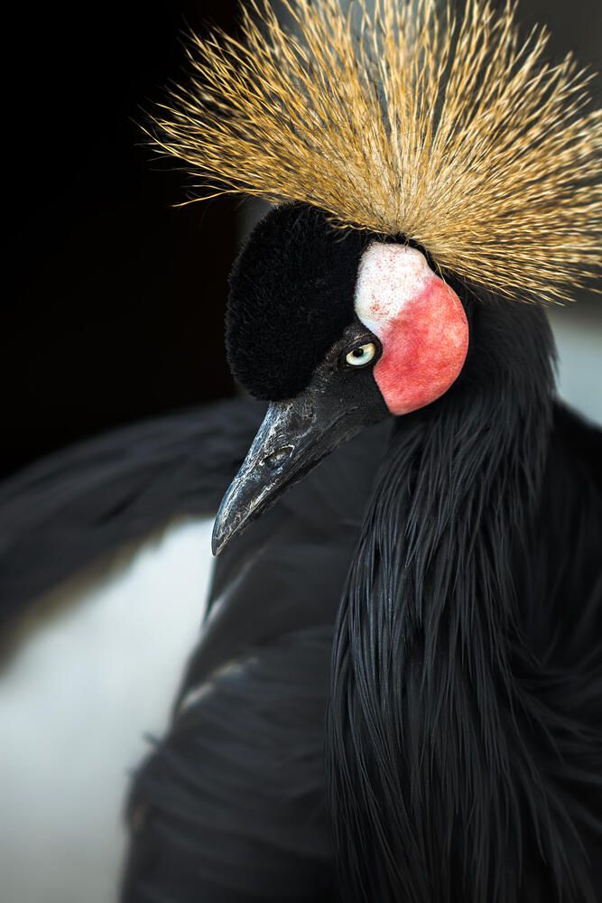 Photograph by Полина Хрол