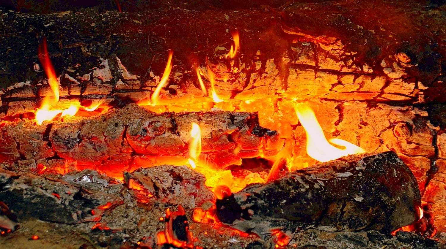 Фотография #13417827