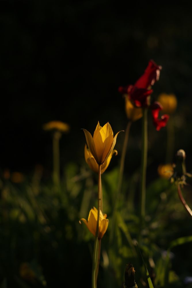 Photograph by Оля Горская