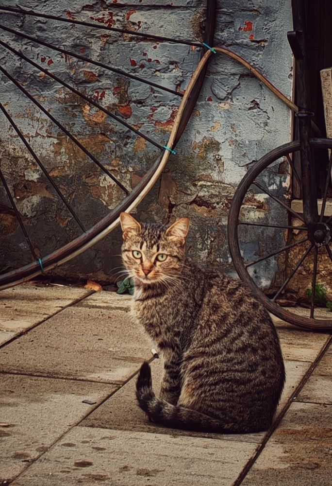 Photograph by Сергей Кошин