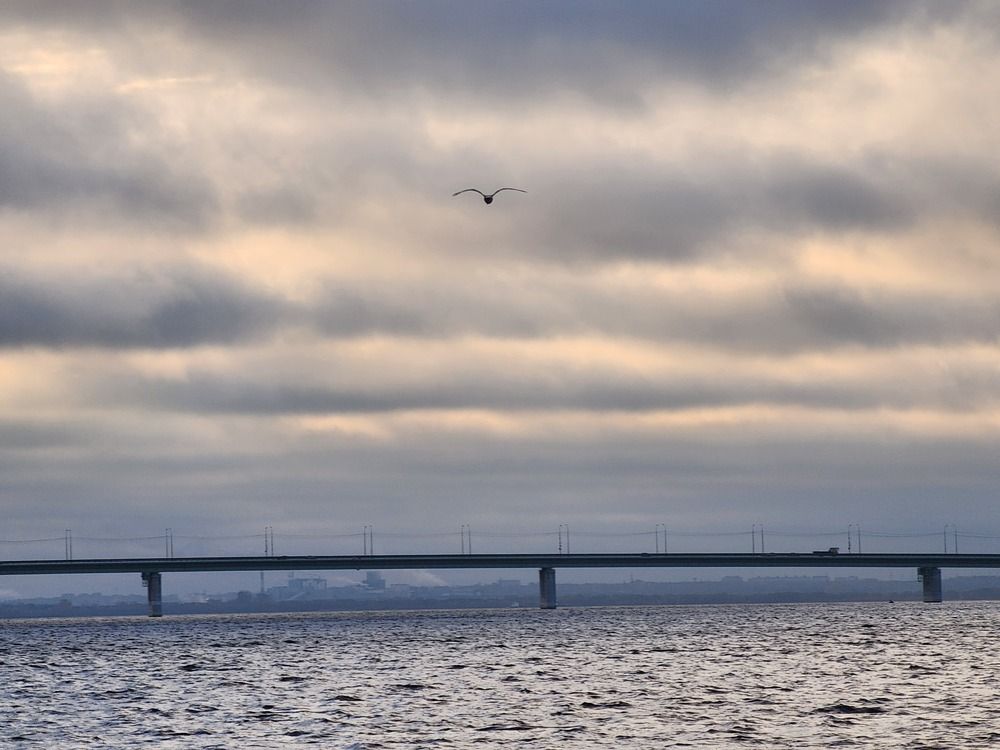Photograph by Николай Андреев