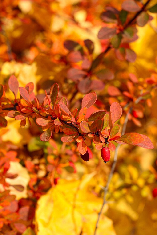 Фотография автора Наталия Козлова
