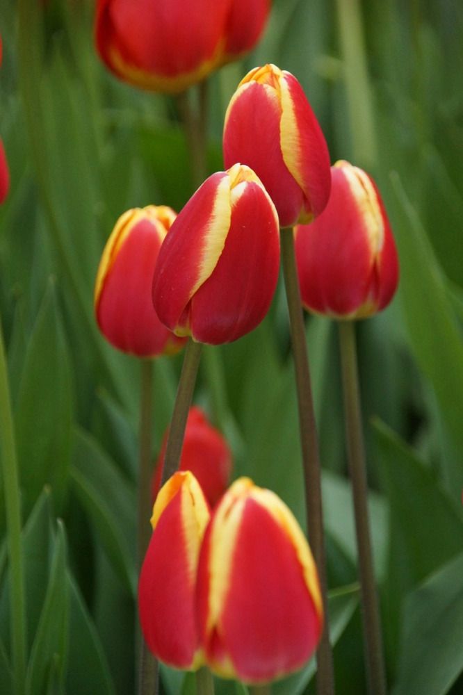 Photograph by Марина Мирошниченко