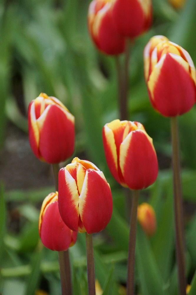 Photograph by Марина Мирошниченко