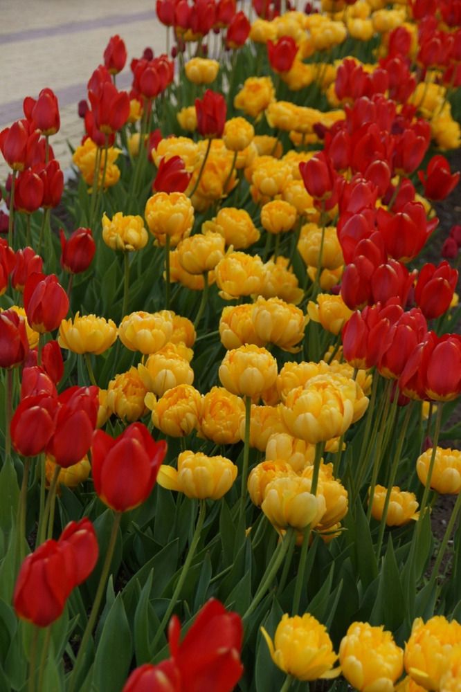 Photograph by Марина Мирошниченко