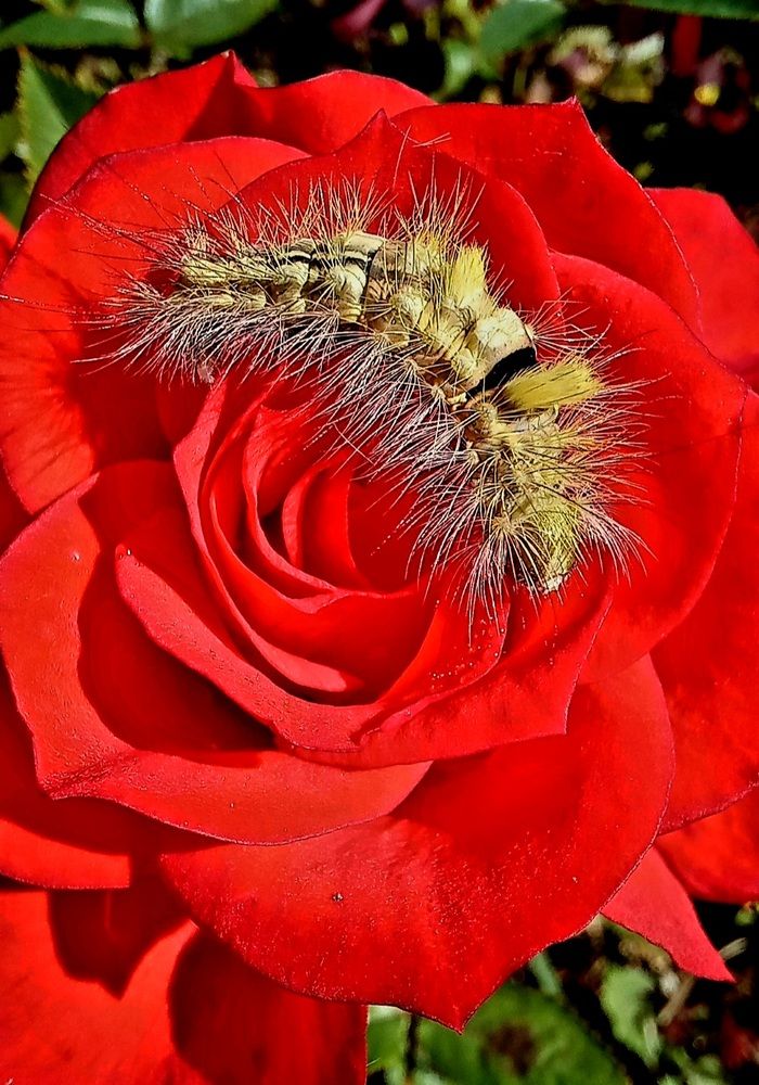 Photograph by Евгений Савулькин