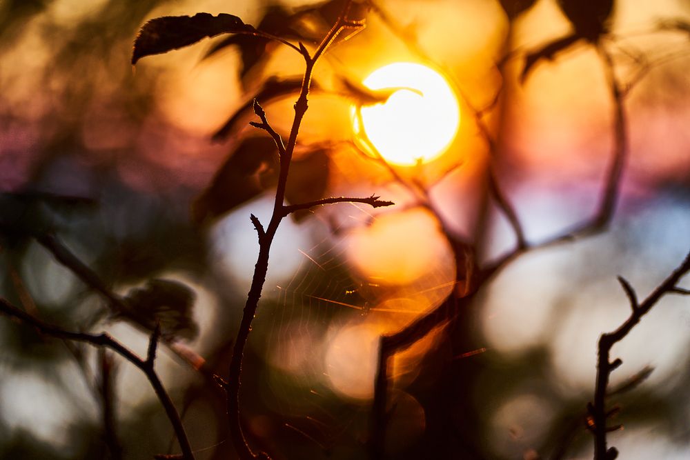 Photograph by Неман Лариса