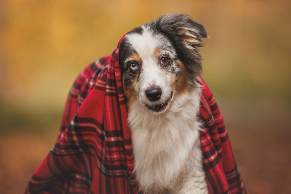 Фотография автора Яна Нарбутович