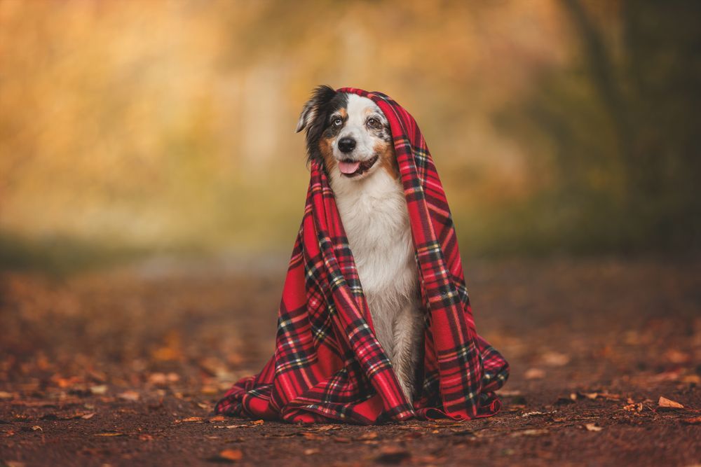 Photograph by Яна Нарбутович