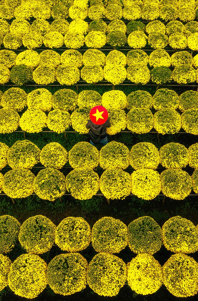 Photograph by Tran Phuong