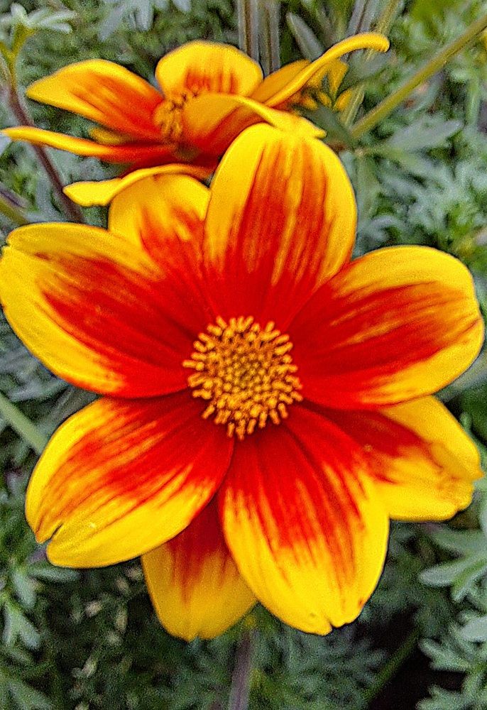 Фотография автора Николай Худяков