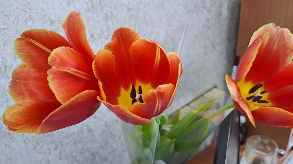 Фотография автора Николай Худяков