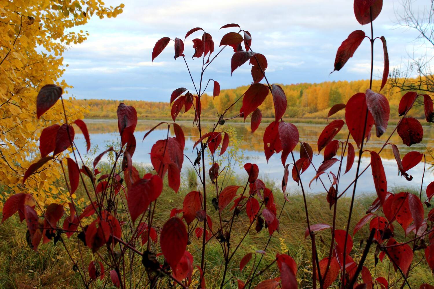 Фотография #13418053