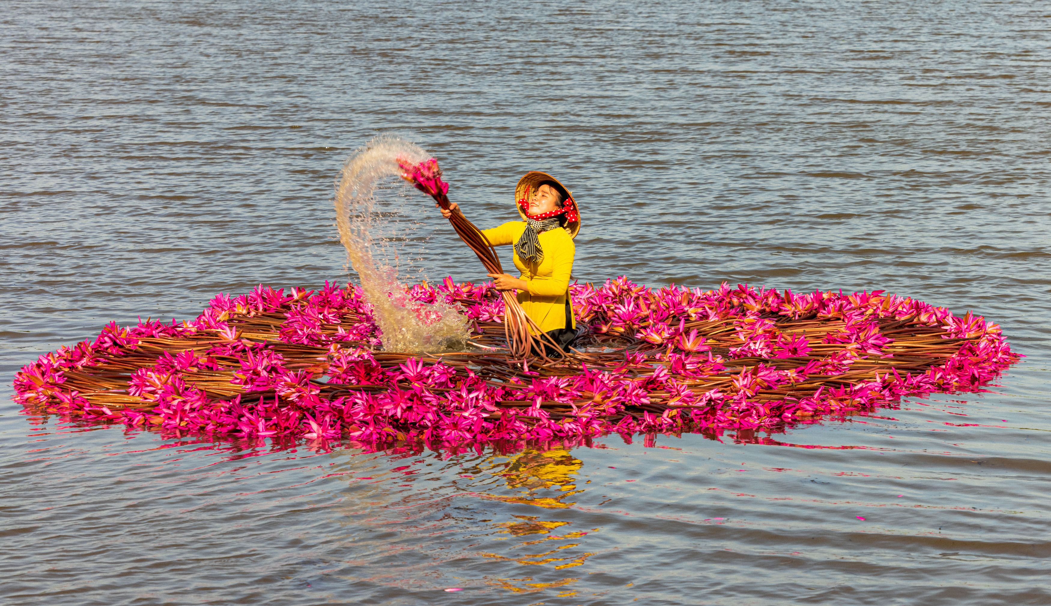 Фотография автора QUAN NGUYEN HUNG