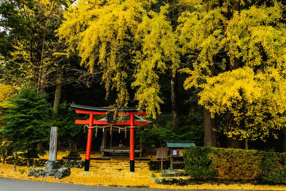 Фотография автора QUAN NGUYEN HUNG