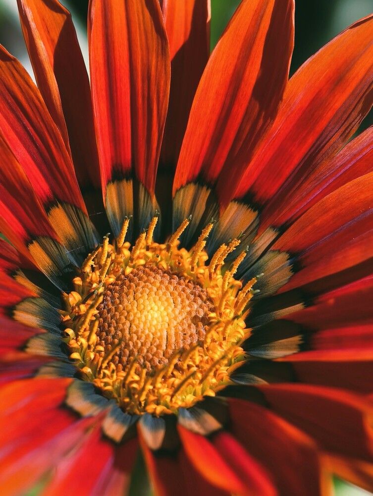 Photograph by Галина Бессуднова