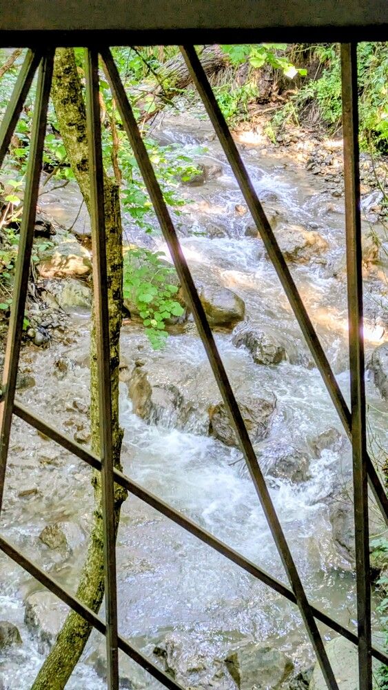 Фотография автора Lilit Petrosyan