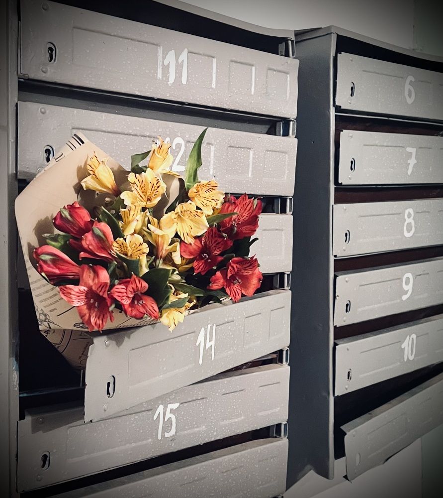 Фотография автора Ольга Белоусова