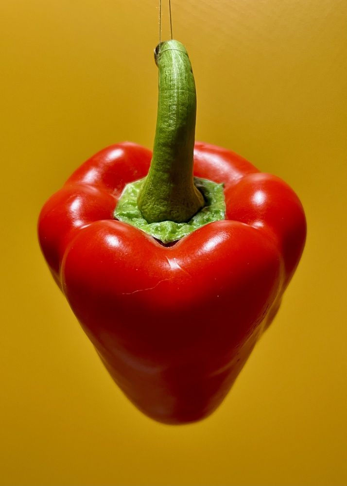 Фотография автора Ольга Белоусова