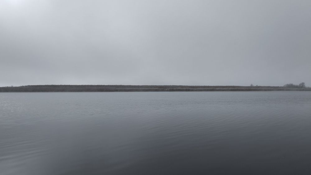 Photo #13418155