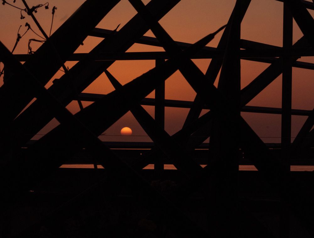 Photograph by Светлана Ханина