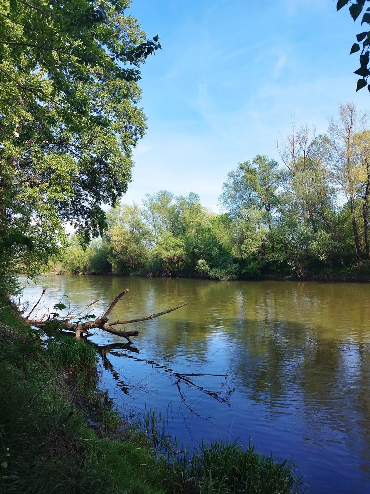 Фотография автора JELENA VASIC