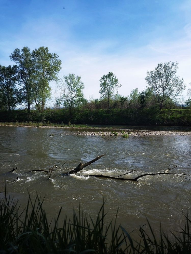 Фотография автора JELENA VASIC