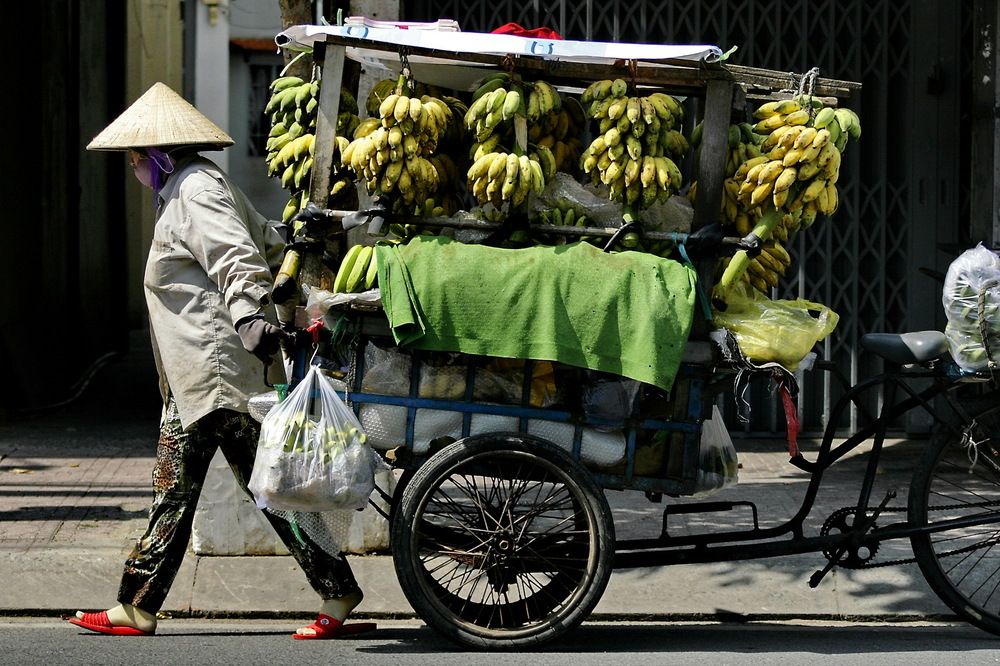 Photograph by Dam Dang Luong