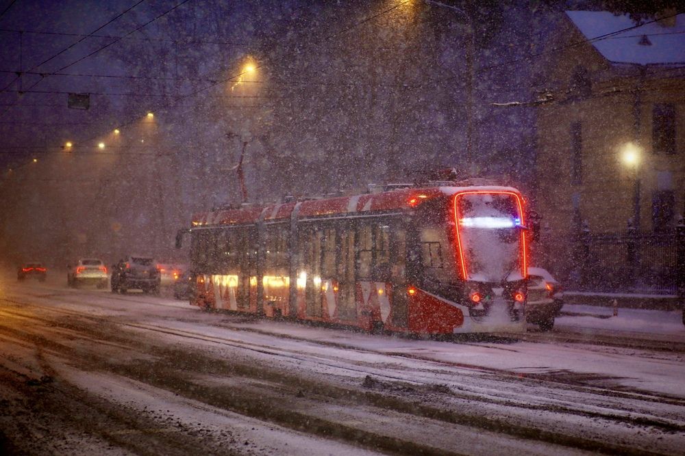 Фотография автора Яна Егорова