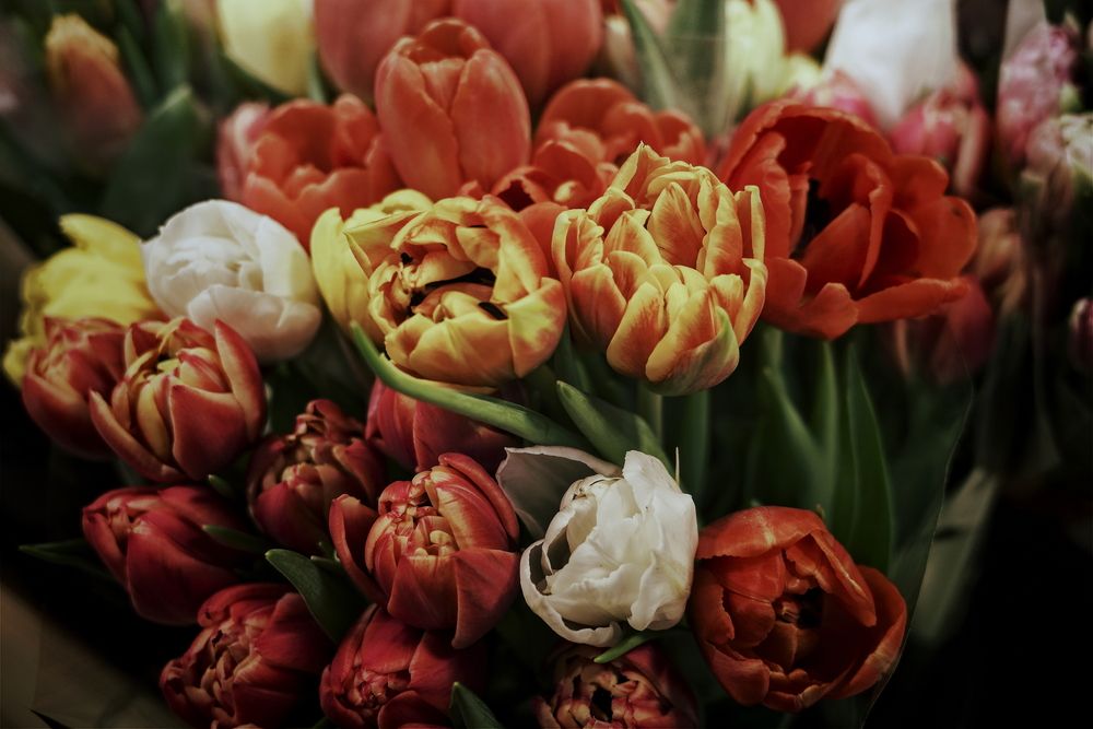 Фотография автора Яна Егорова