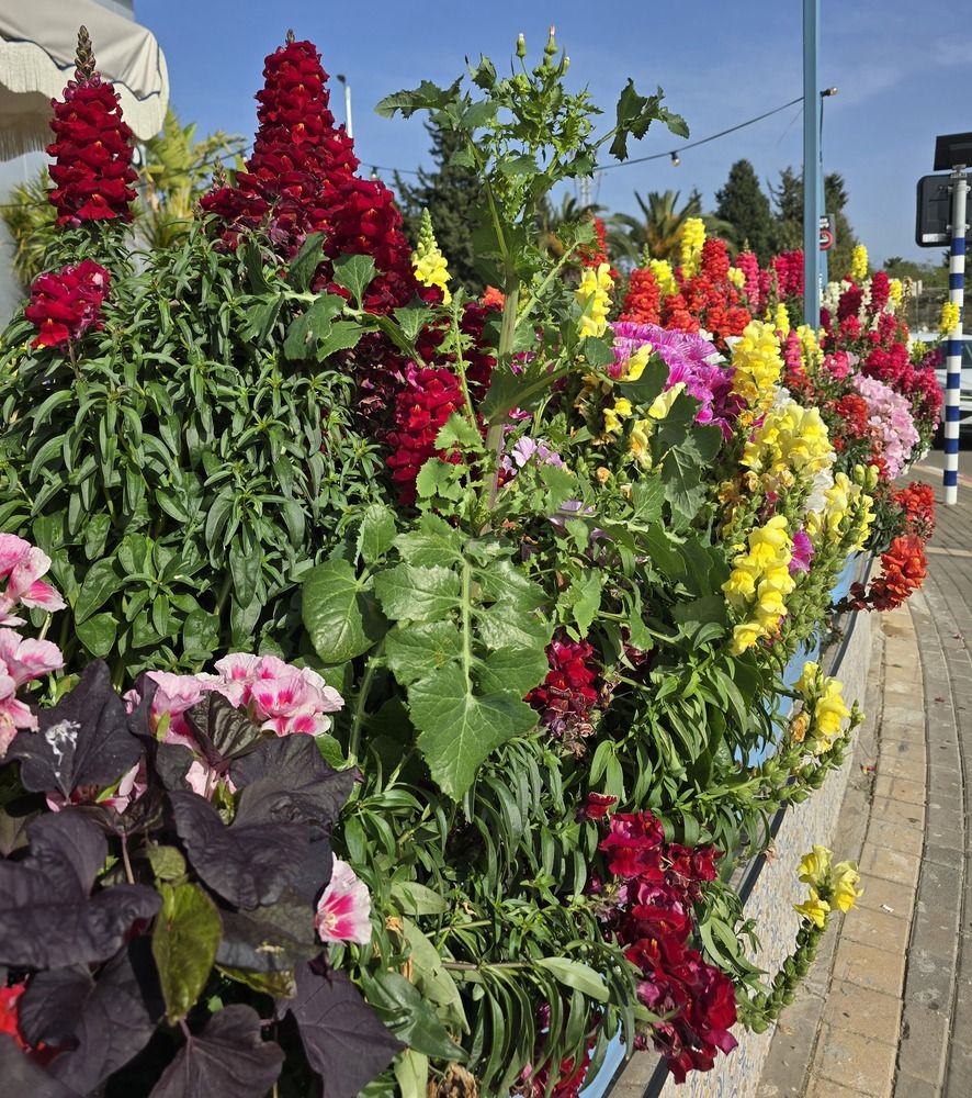 Фотография автора Yulia Rotbach