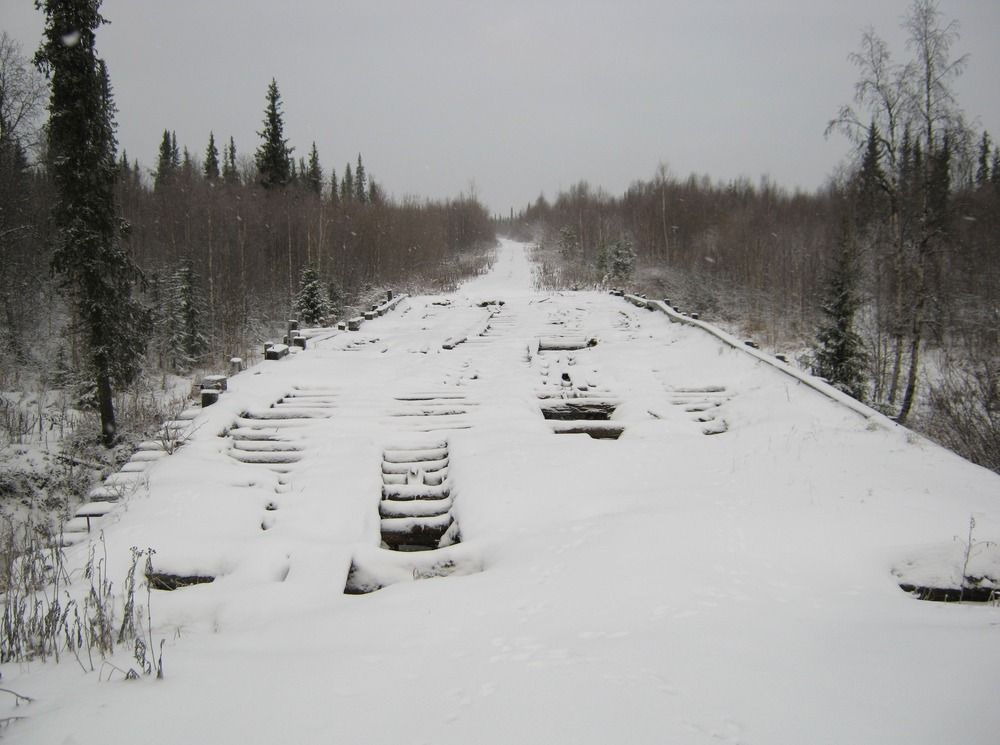Фотография автора геннадий лалаев